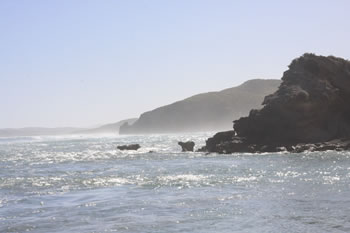 Anvil Beach Denmark Western Australia