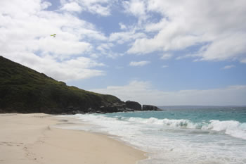 Shelley Beach